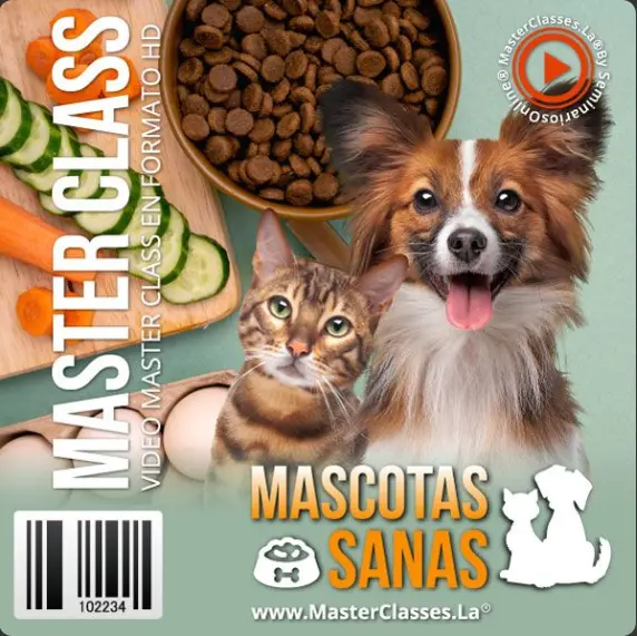 mascotas sanas