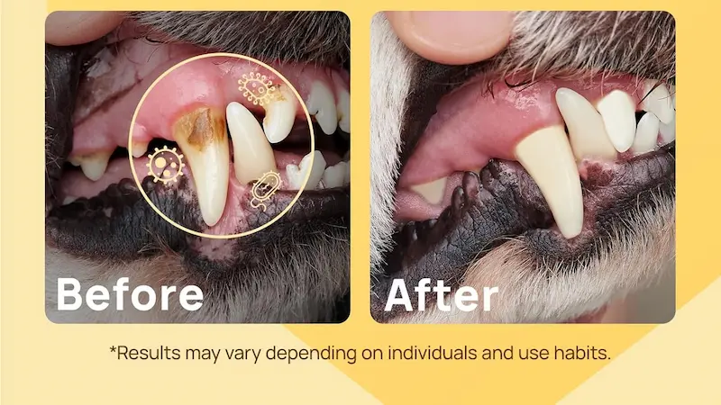 Toallitas dentales para mascotas recomendadas por veterinarios