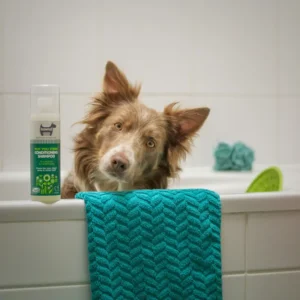 Lee más sobre el artículo Cómo bañar a tu perro en casa sin estrés: guía práctica para dueños